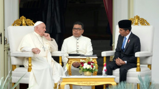 Papa Francisco quer incrementar o di&aacute;logo inter-religioso para lutar contra o extremismo