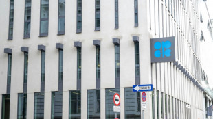 Emirados &Aacute;rabes Unidos deixar&atilde;o Opep em maio