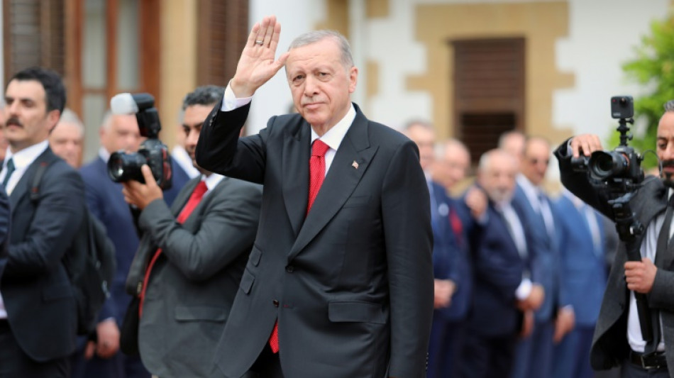 Erdogan enfr&iacute;a las "expectativas" de Suecia de entrar en la OTAN en julio