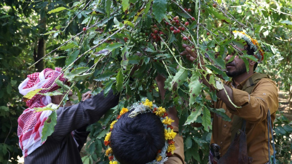 "Gahwa", el caf&eacute; saudita en busca de reconocimiento internacional