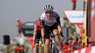 Almeida wins Vuelta 'queen stage' ahead of leader Vingegaard amid protests