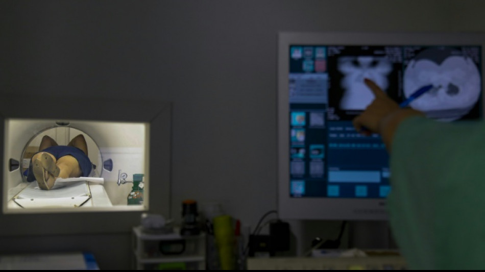 Kassen&auml;rzte-Chef warnt vor Praxis-Schlie&szlig;ungen wegen Energiekrise