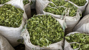 Mideast war leaves 6,000 tonnes of tea stuck at Kenya port