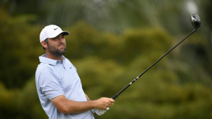 Scheffler and McIlroy fancied for PGA Championship title
