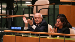 Assembleia Geral da ONU pede fim da ocupa&ccedil;&atilde;o israelense dos territ&oacute;rios palestinos