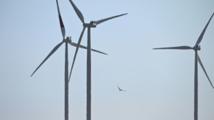 Trump admin halts US offshore wind projects citing 'national security'