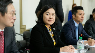 El Mercosur y China reanudan el di&aacute;logo con miras a "fortalecer" sus lazos