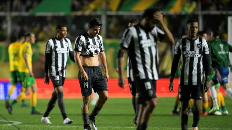 Botafogo: guia de um desastre hist&oacute;rico que enterrou o sonho do Brasileir&atilde;o