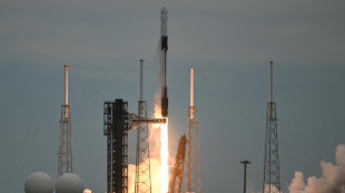 Musk's SpaceX helps launch stock market gains