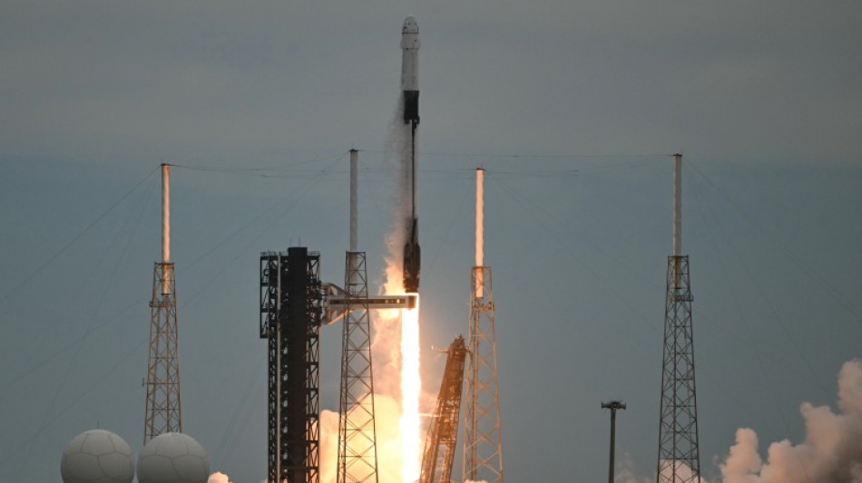 Musk's SpaceX results lift global stock markets