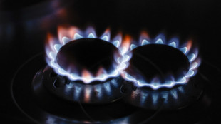 Il prezzo del gas in calo a 78,36 euro al megawattora