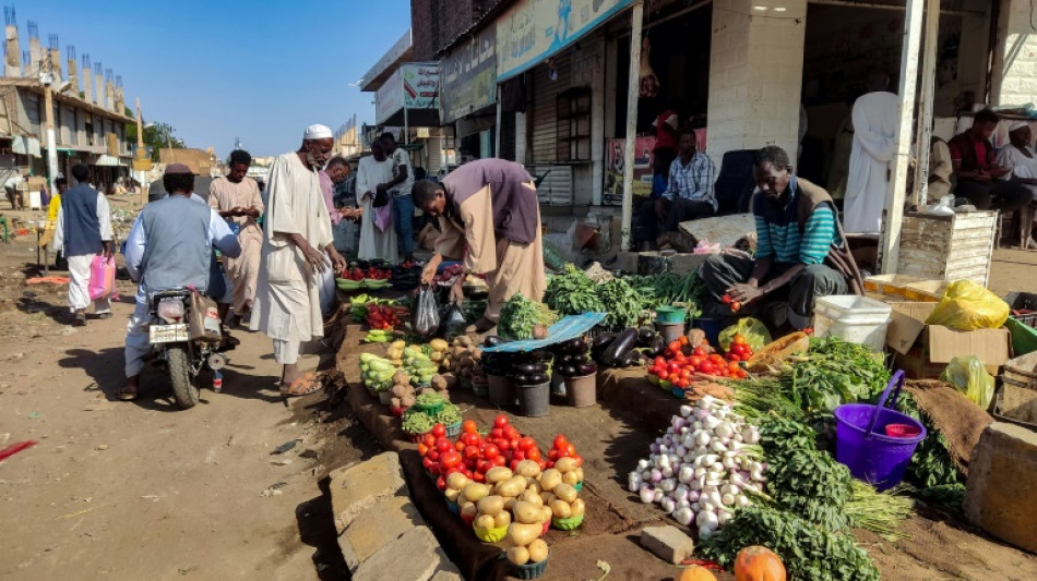 Los paramilitares sudaneses y sus aliados acuerdan la creaci&oacute;n de un gobierno paralelo