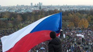 A Prague, des milliers de Tch&egrave;ques manifestent contre Andrej Babis