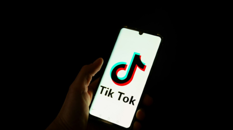 Nouvelle-Cal&eacute;donie: le Conseil d'Etat "ne suspend pas le blocage de TikTok"