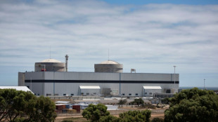 Incidents mineurs de contamination radioactive dans une centrale nucl&eacute;aire d'Afrique du Sud