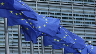 Ue, infrazione contro la Slovacchia per modifiche costituzionali