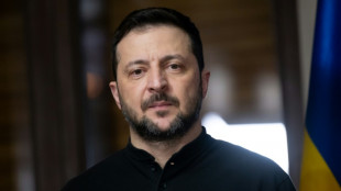 Zelensky chega aos Emirados &Aacute;rabes Unidos para abordar 'programa humanit&aacute;rio'