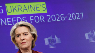 Media, Usa in pressing su europei contro l'uso asset russi