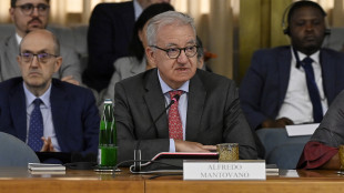 Mantovano, intelligence mobilitata per sabotaggio in Francia