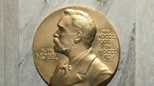 Auffällige Wettquoten: Nobelinstitut vermutet Spionage bei Friedensnobelpreis