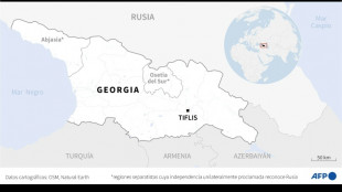 Un avi&oacute;n carguero militar turco con 20 personas a bordo se estrella en Georgia