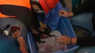 S&eacute;isme au Venezuela: un chat sorti des d&eacute;combres