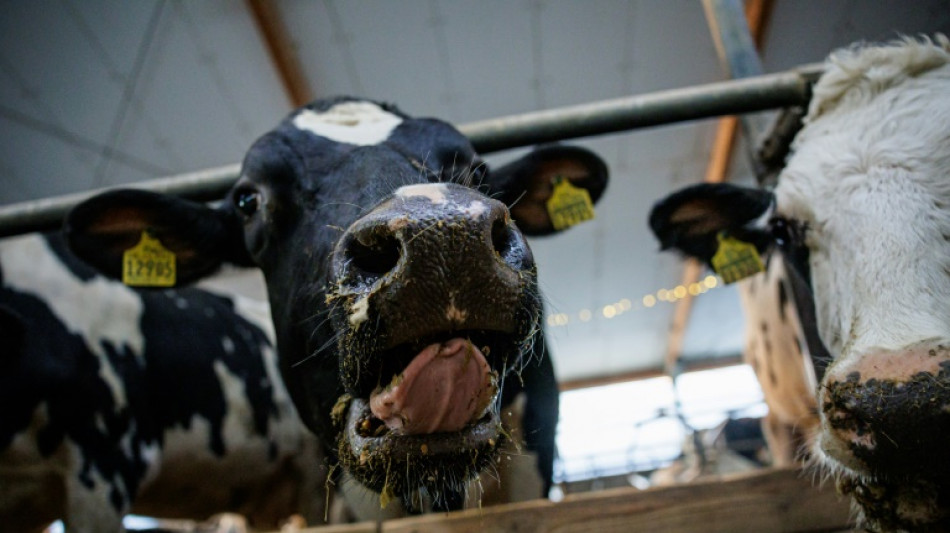 Bundesregierung einigt sich auf &Auml;nderungen am Tierschutzgesetz