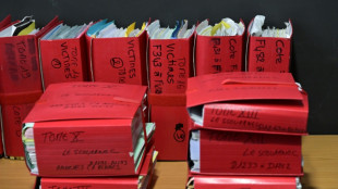 Procès Le Scouarnec: une nouvelle audience pour l'indemnisation des victimes