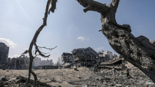Onu, Gaza è diventata una zona di morte post-apocalittica