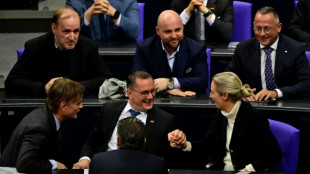 AfD-Abgeordnete reisen zu Gesprächen mit Trump-Partei in USA