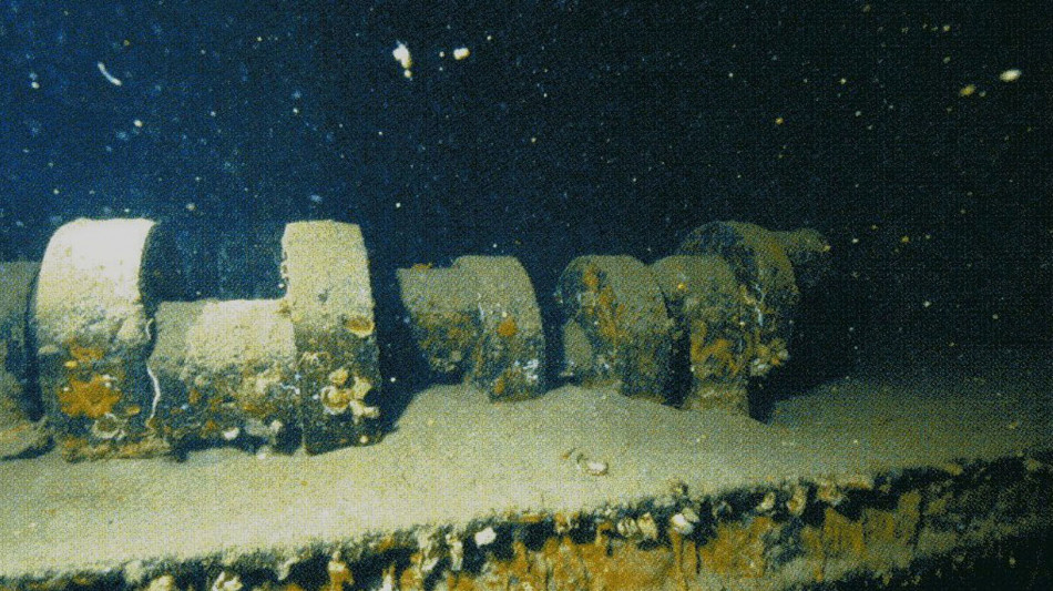 Missili e relitti di guerra diventano habitat per specie marine