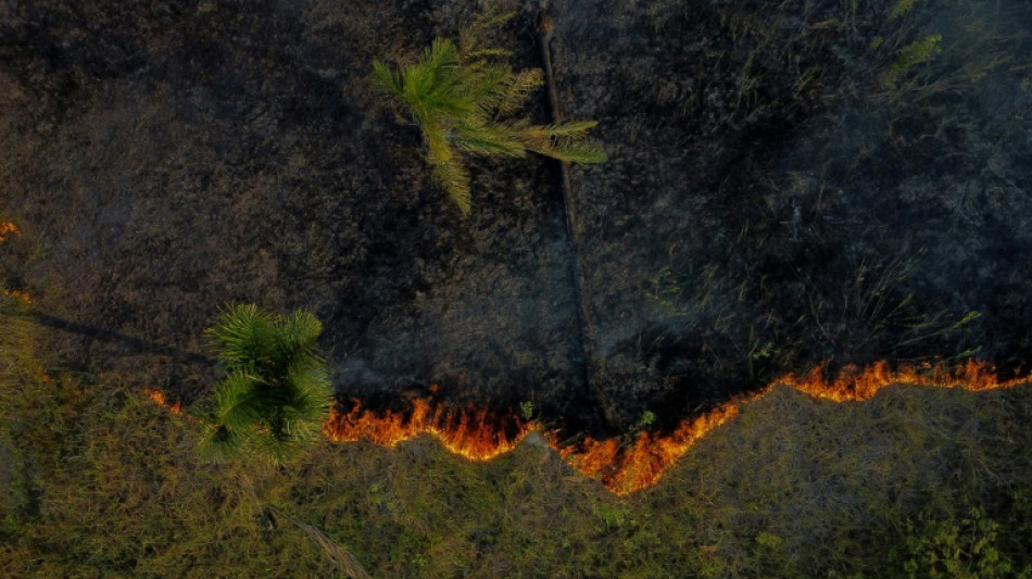 Ind&iacute;genas sul-americanos alertam que inc&ecirc;ndios e secas amea&ccedil;am a Amaz&ocirc;nia
