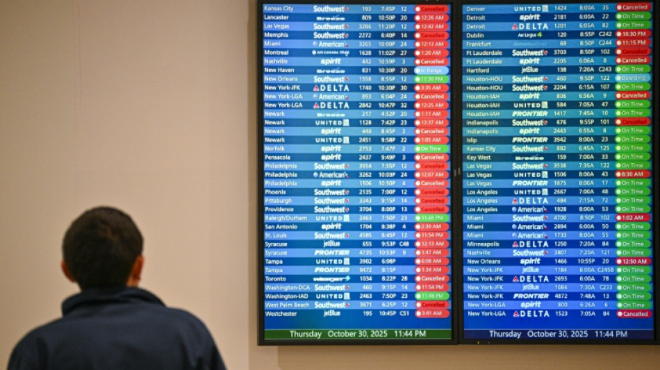 Wegen Haushaltssperre werden Inlandsflüge in den USA gestrichen 