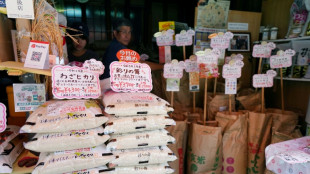 Rice prices up 91 pct year-on-year in Japan