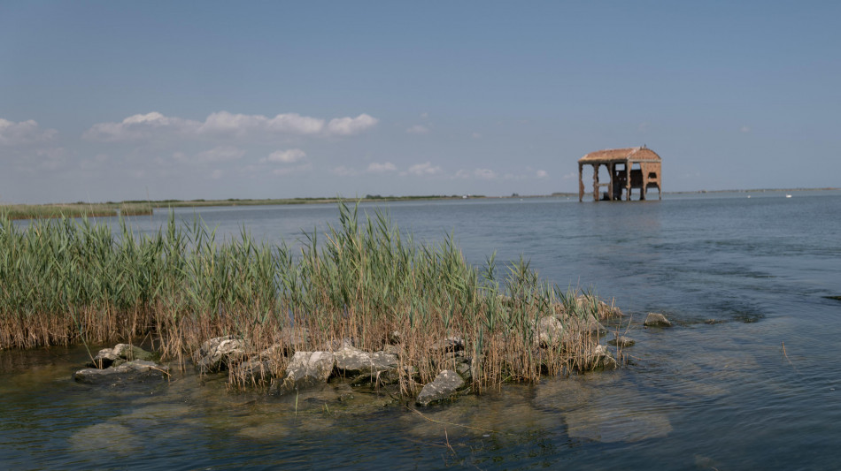 Delta del Po e lagune adriatiche tra i 10 supersiti europei