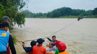 Trees felled by Tropical Storm Bebinca kill six in Philippines