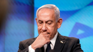Israel's Netanyahu seeks pardon in corruption cases