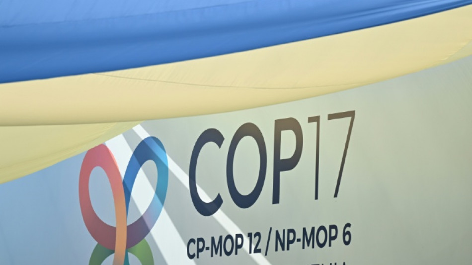 Latin America's right-wing swing looms large over nature summit