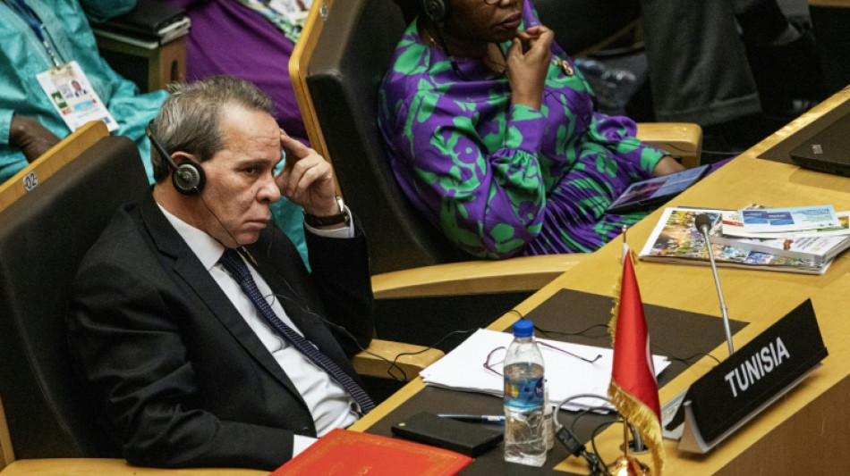 El presidente de T&uacute;nez reemplaza a su primer ministro tras un a&ntilde;o en el cargo