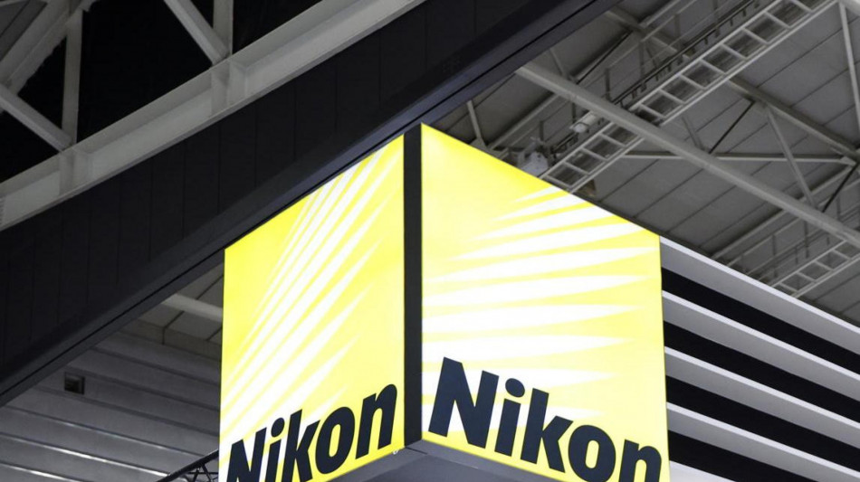 Cellule, spore e insetti nelle 20 migliori foto del 'micromondo'