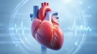 Nova defini&ccedil;&atilde;o universal reorganiza os tipos de infarto por causa cl&iacute;nica