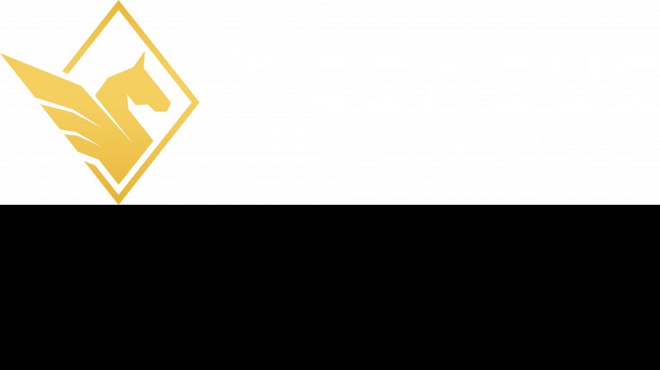 Pegasus Resources Closes Final Tranche of Private Placement