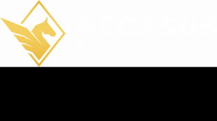 Pegasus Resources Closes Final Tranche of Private Placement