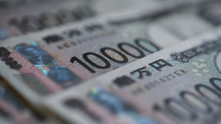 Stocks diverge as rate hopes rise, AI fears ease