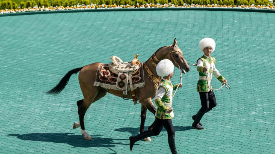 Turkmenistan's 'heavenly' horses at the heart of fervent state cult