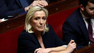 Kandidaturverbot f&uuml;r Le Pen: Debatte um Ausnahmegesetz in Frankreich