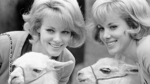 Ghigo e Chatrian (Museo Cinema), Kessler icone di grazia