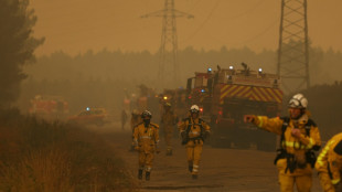 Plus de 325.000 r&eacute;fugi&eacute;s du feu en France et Espagne, les flammes &agrave; 15 km de la m&eacute;tropole bordelaise