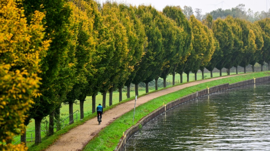 Frankfurt ist fahrradfreundlichste deutsche Großstadt