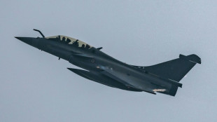 S&eacute;rvia firma compra de 12 avi&otilde;es Rafale franceses